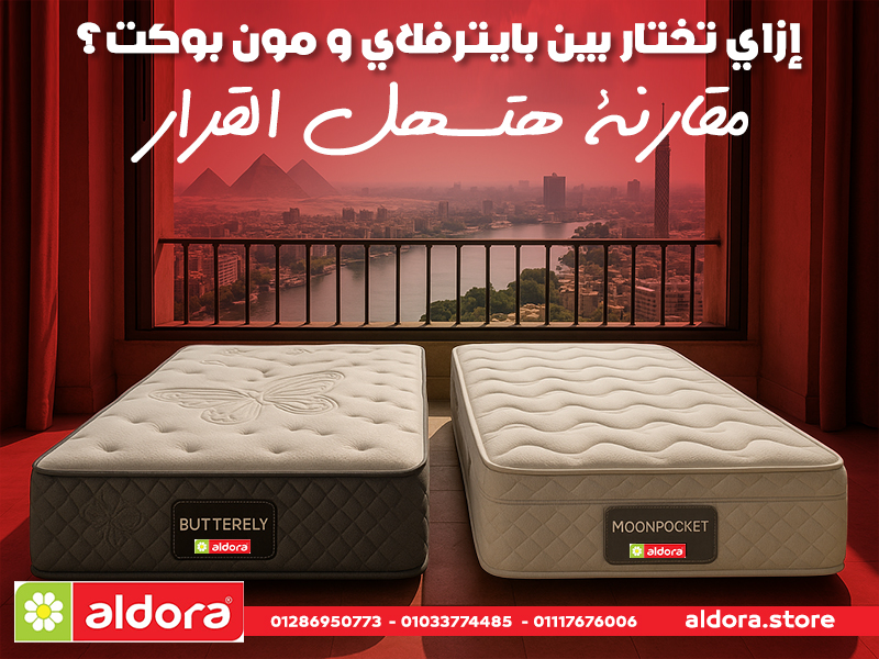 إزاي تختار بين بايترفلاي و مون بوكت؟ مقارنة هتسهل القرار