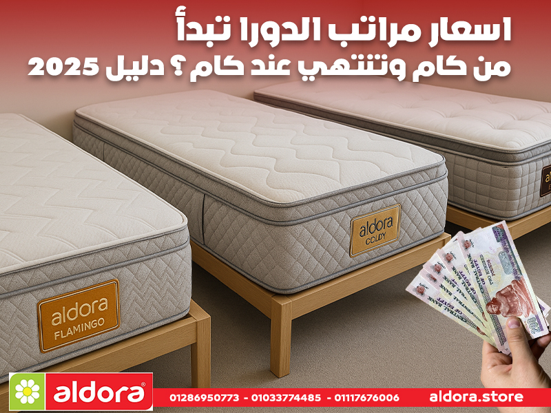 اسعار مراتب الدورا تبدأ من كام وتنتهي عند كام؟ دليل 2025