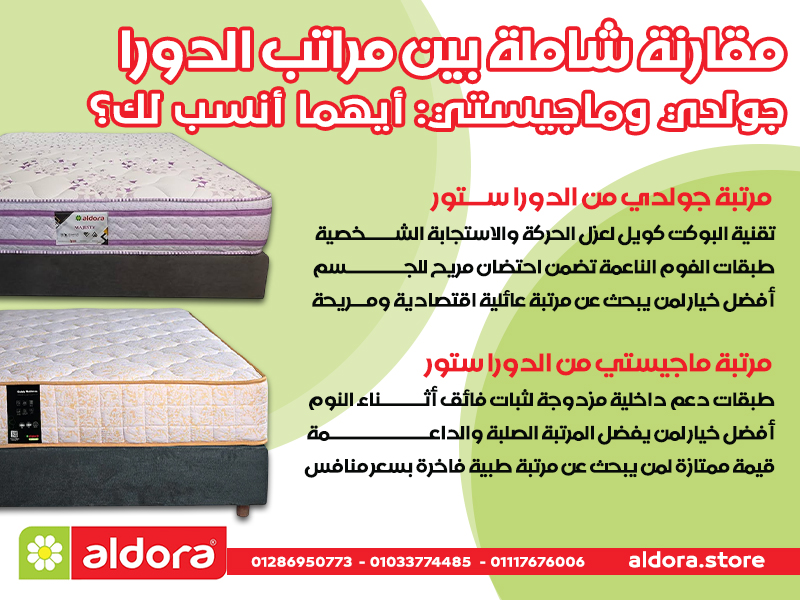 مقارنة شاملة بين مراتب الدورا جولدي وماجيستي: أيهما أنسب لك؟