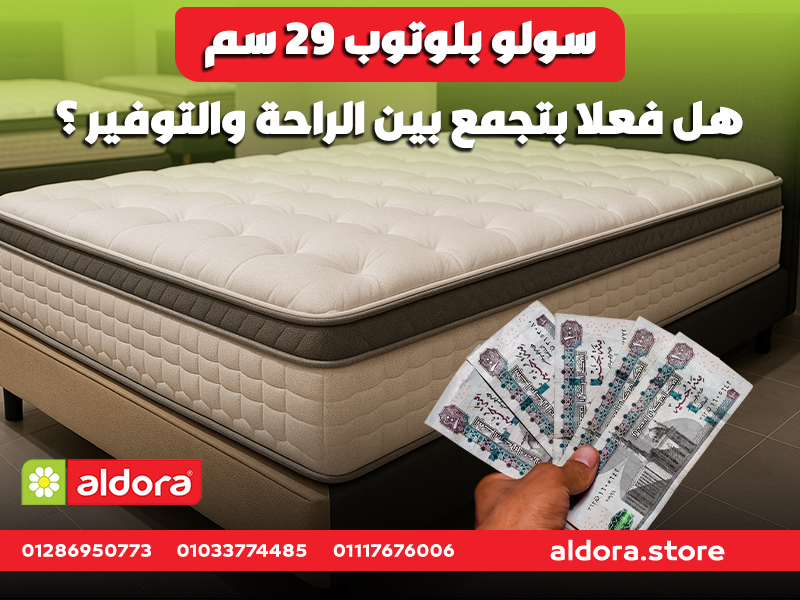 سولو بلوتوب 29 سم: هل فعلاً بتجمع بين الراحة والتوفير؟